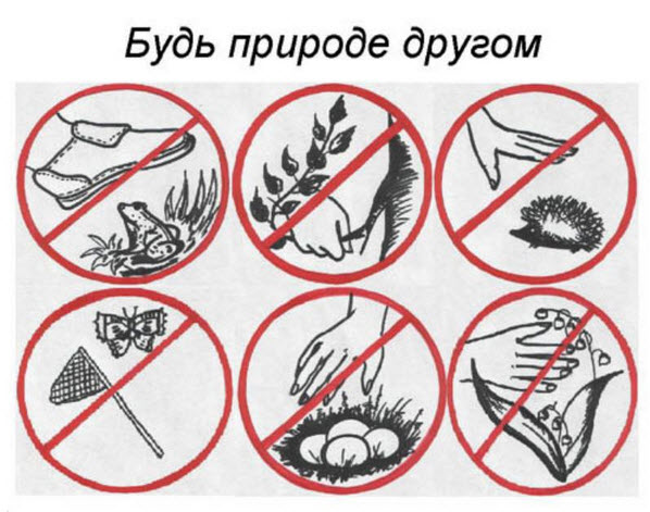 Раскраски берегите природу для детей Раскраски берегите природу для детей